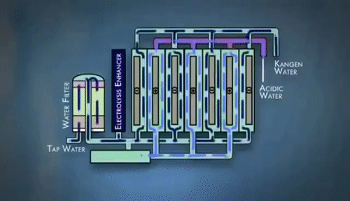 everythingkangenprocess Kangen Water Ionizer - Kangen Water