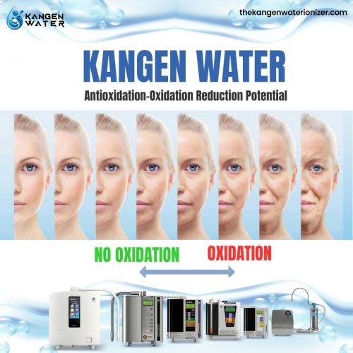 WhatsApp Image 2025 06 12 at 11.03.42 3